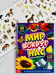 Энциклопедия развивающая для детей мир вокруг природные явления наклейки животные звери