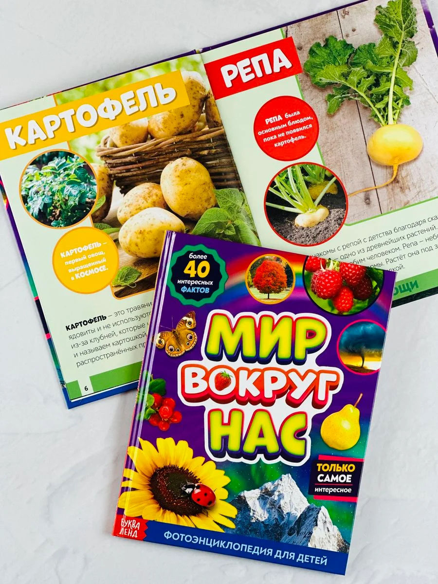 Энциклопедия развивающая для детей мир вокруг природные явления наклейки животные звери