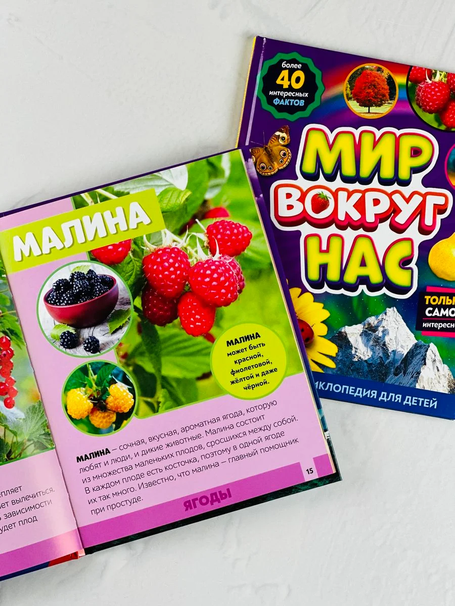 Энциклопедия развивающая для детей мир вокруг природные явления наклейки животные звери