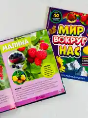 Энциклопедия развивающая для детей мир вокруг природные явления наклейки животные звери