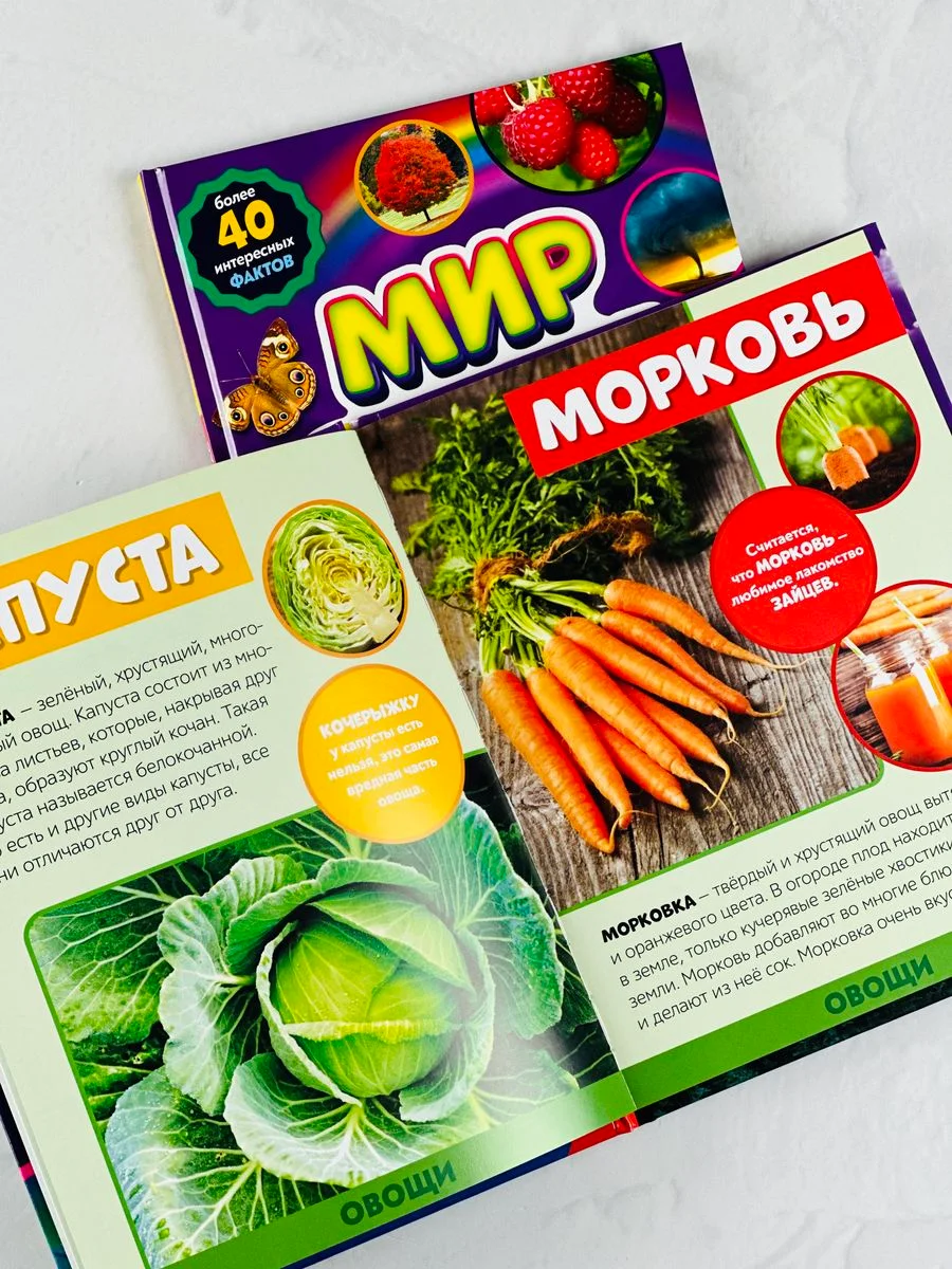 Энциклопедия развивающая для детей мир вокруг природные явления наклейки животные звери