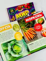 Энциклопедия развивающая для детей мир вокруг природные явления наклейки животные звери