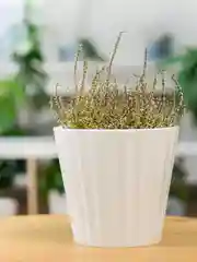 Белый горшок для цветов с дренажной вставкой InGreen коллекция Sand, пластиковый, 2л
