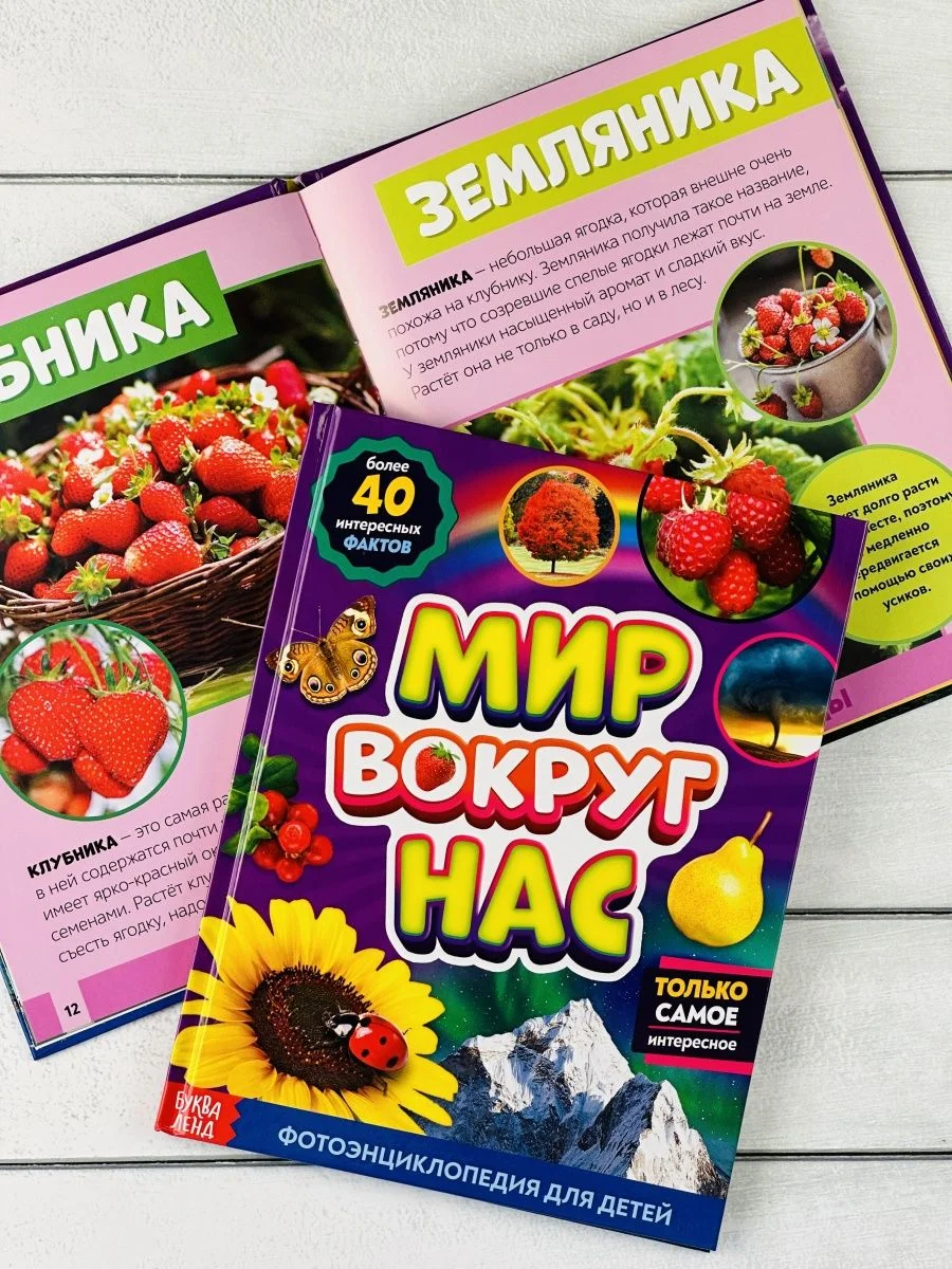 Детская познавательная энциклопедия книжка для детей окружающий Мир вокруг природа книга