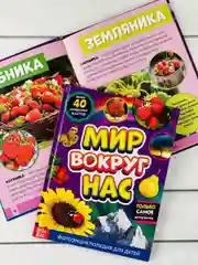 Детская познавательная энциклопедия книжка для детей окружающий Мир вокруг природа книга