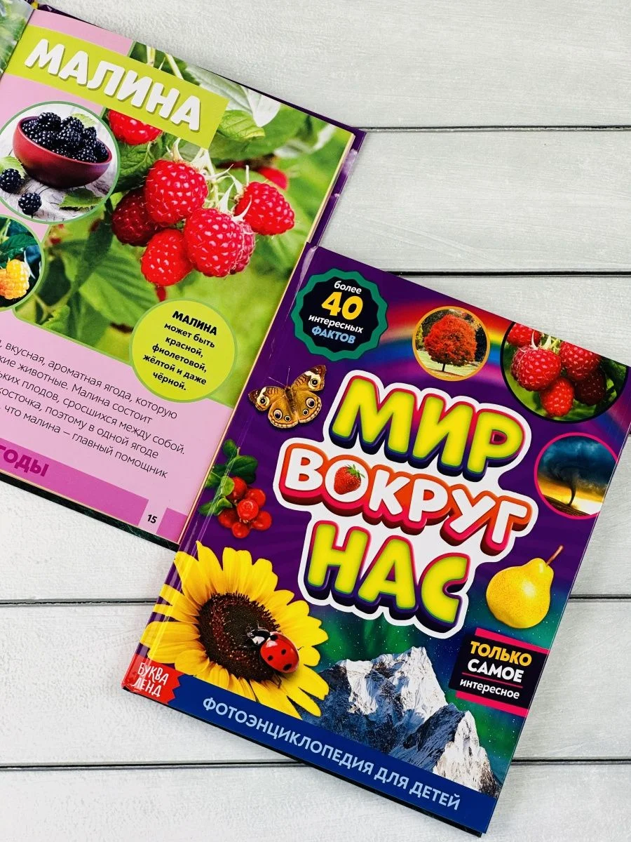 Детская познавательная энциклопедия книжка для детей окружающий Мир вокруг природа книга