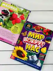 Детская познавательная энциклопедия книжка для детей окружающий Мир вокруг природа книга