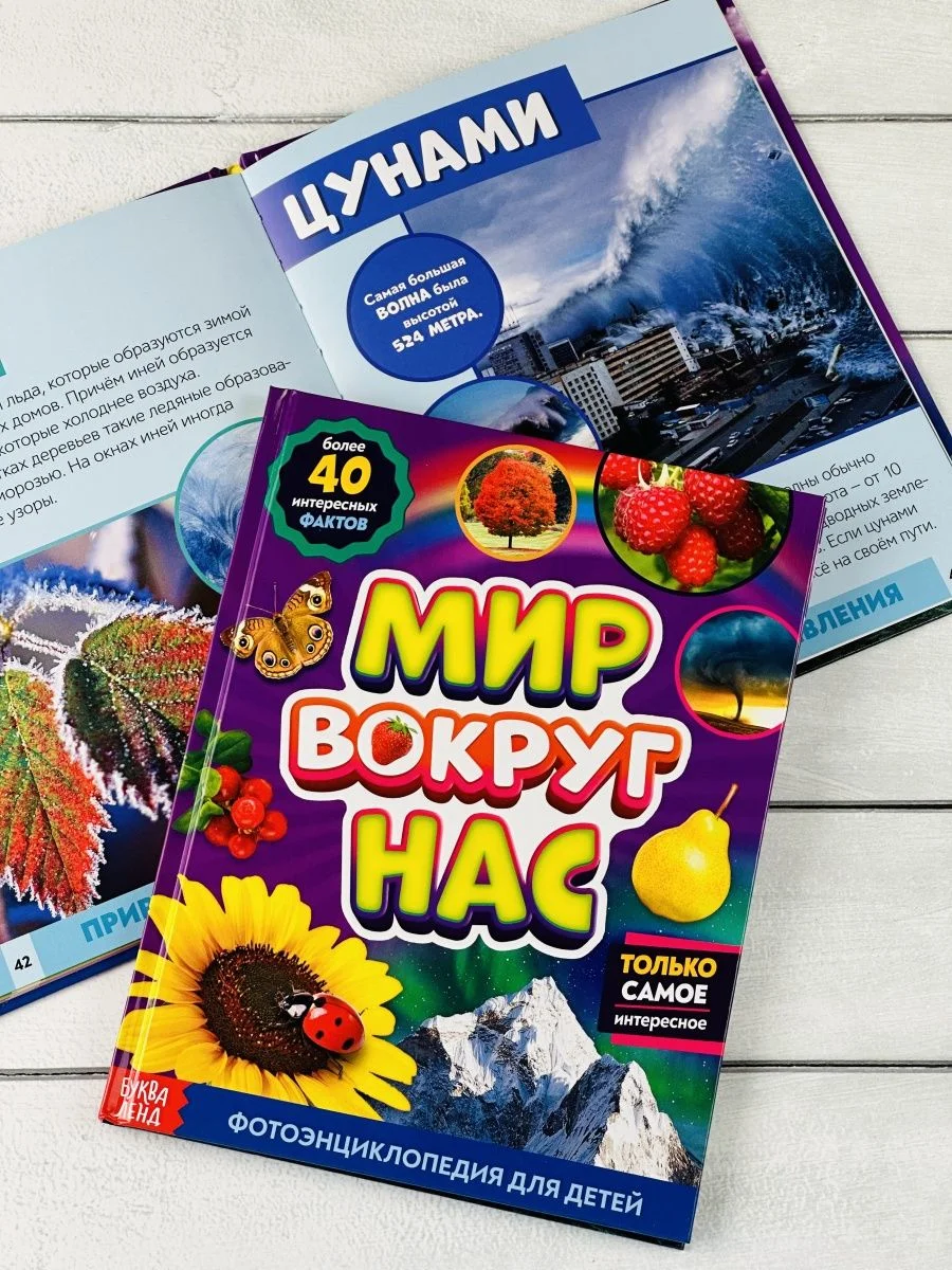 Детская познавательная энциклопедия книжка для детей окружающий Мир вокруг природа книга