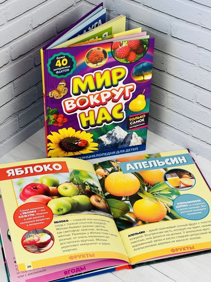 Детская познавательная энциклопедия книжка для детей окружающий Мир вокруг природа книга