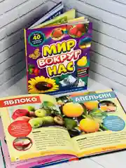 Детская познавательная энциклопедия книжка для детей окружающий Мир вокруг природа книга