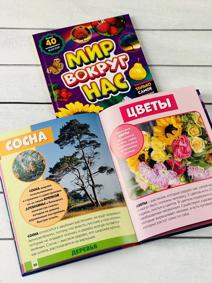 Детская познавательная энциклопедия книжка для детей окружающий Мир вокруг природа книга