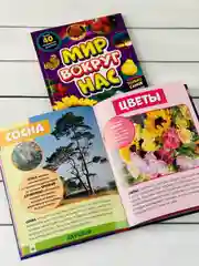 Детская познавательная энциклопедия книжка для детей окружающий Мир вокруг природа книга