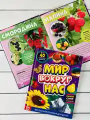 Детская познавательная энциклопедия книжка для детей окружающий Мир вокруг природа книга