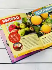 Детская познавательная энциклопедия книжка для детей окружающий Мир вокруг природа книга