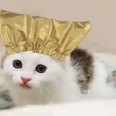 Шапочка для душа для питомца / Шапка для собак и кошек / Кошачья шапочка для душа