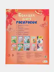 Большая книга раскрасок(F) - Для девочек