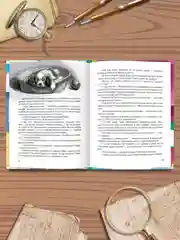 Книга детский детектив "Дело о похищенной собаке" Э. Заболотная, 128 стр. Проф-Пресс