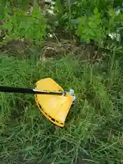 Электротриммер садовый Partner for Garden ЕТ 2800 (нож 3Т, леска и нож, разборной вал)