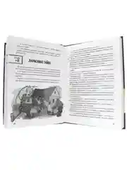 Книга детский детектив "Тайна заброшенного дома" Э. Заболотная, 128 стр. Проф-Пресс