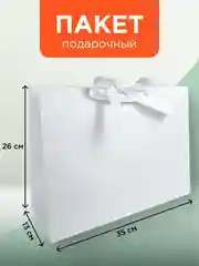 Пакет подарочный большой