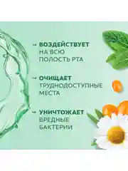 Ополаскиватель для полости рта Colgate Plax Алтайские Травы, для десен, 500 мл, 2 шт