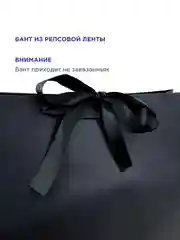 Белый пакет подарочный большой
