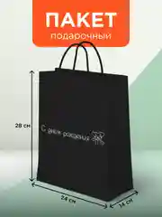 Пакет подарочный, большой