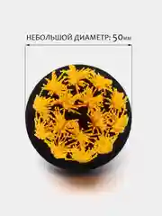Золотой щетка для шуруповерта, для детейлинга и химчистки авто