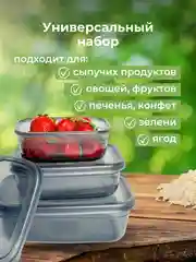 Прозрачный пищевой контейнер для еды (набор - 3 шт.)