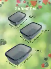 Прозрачный пищевой контейнер для еды (набор - 3 шт.)