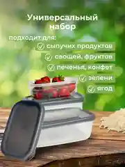 Прозрачный пищевой контейнер для еды (набор - 3 шт.)