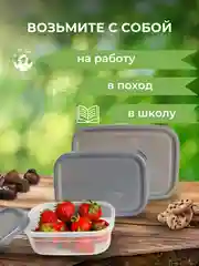 Прозрачный пищевой контейнер для еды (набор - 3 шт.)