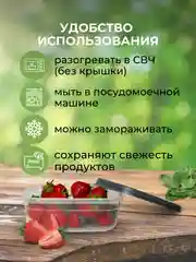 Прозрачный пищевой контейнер для еды (набор - 3 шт.)
