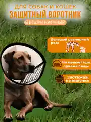 Воротник защитный после операции для собак, кошек, животных