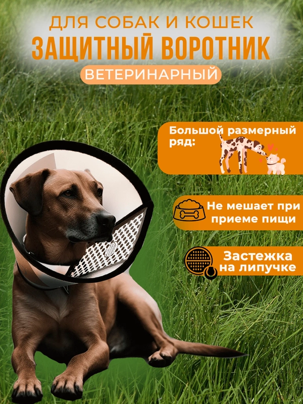 Воротник защитный после операции для собак, кошек, животных
