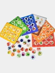 Развивающая магнитная игра- лото Бигр "Цветовое лото", УД85