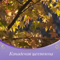Подгузники-трусики Pipitto 11-22 кг, размер 5