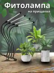 Фитолампа для растений, цветов, фитолампа для рассады, USB лампа с таймером