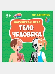 Развивающая магнитная игра Бигр "Тело человека",  УД95