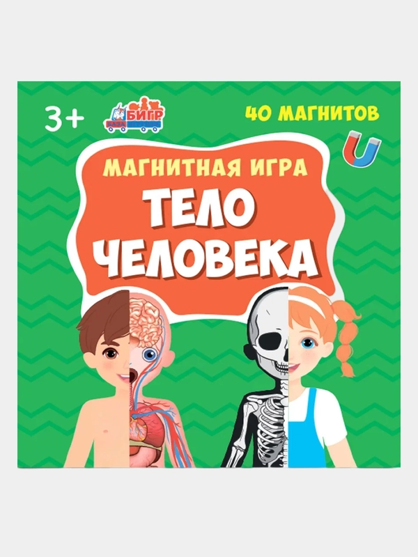 Развивающая магнитная игра Бигр "Тело человека",  УД95