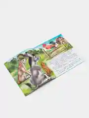 Салатовый книга для детей "Сказки", издательство Фламинго