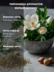 Белый аромадиффузор NELAYAN для дома с палочками, 100 мл