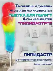 Щетка для уборки, пипидастр, сметка-метелка