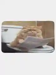 Коврик для ванной туалета душа "Возмущённый кот" (bath43007260x100)