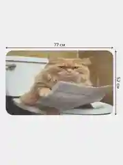 Коврик для ванной и туалета мягкий "Возмущённый кот" (bath430072)