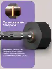 Гантели 10 кг, PROIRON, 2 шт., обрезиненные