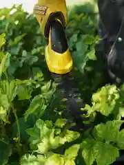 Кусторез, ножницы, аккумуляторный садовый для кустов, травы, газона Partner for Garden CGS-72