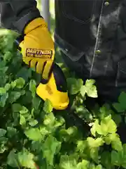 Кусторез, ножницы, аккумуляторный садовый для кустов, травы, газона Partner for Garden CGS-72