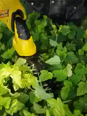 Кусторез, ножницы, аккумуляторный садовый для кустов, травы, газона Partner for Garden CGS-72