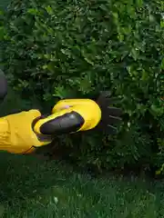 Кусторез, ножницы, аккумуляторный садовый для кустов, травы, газона Partner for Garden CGS-72